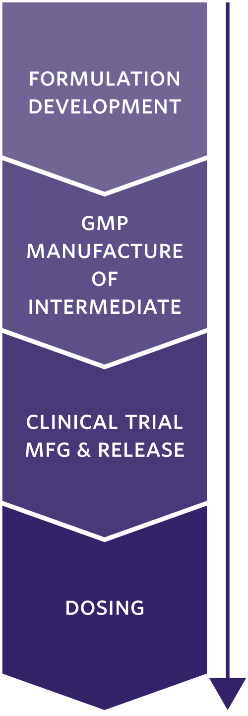 Timeline: Formulation Development, GMP Manufacture of Intermediate, Clinical Trial Manufacturing and Release, and Dosing.